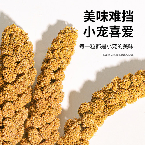 鹦鹉天然谷穗带壳黄谷子小米玄凤虎皮饲料鸟粮鸟食文鸟珍珠鸟零食 - 图1