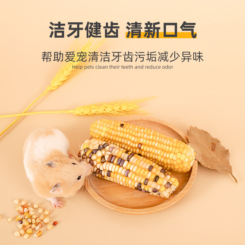 仓鼠粮零食小玉米磨牙棒金丝熊花枝鼠蜜袋鼯荷兰猪龙猫金丝熊食物,淘宝优惠券,粉丝福利购,淘宝优惠卷