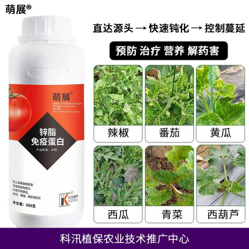 植物免疫蛋白辣椒番茄黄瓜茄子西瓜黄叶卷叶小叶花叶蔬菜生物防治 - 图1