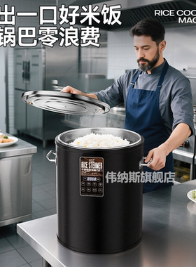 伟纳斯智能电热蒸饭桶