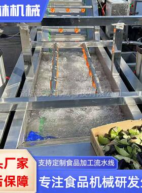 白芍气泡清洗设备 蕨菜香菇杏鲍菇清洗流水线 金银花青菜清洗机