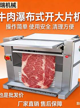 不锈钢设备牛肉牛肉切片机商用304肉类机设开片大片连续式猪肉