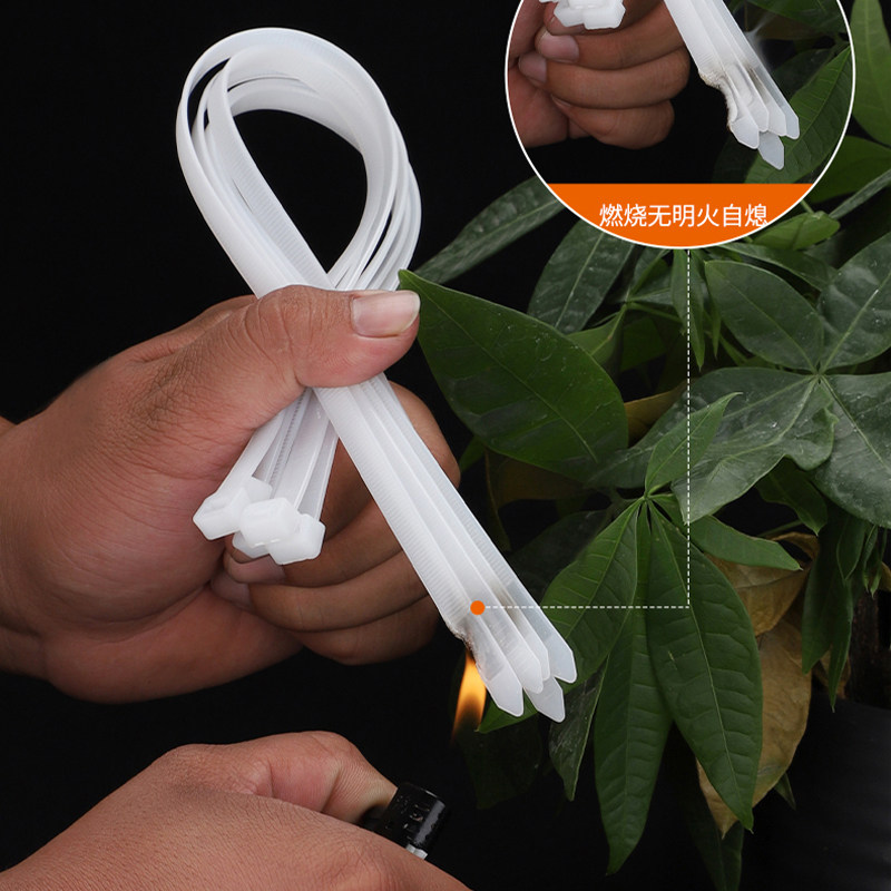 国标自锁式尼龙塑料扎带捆绑绳子扎带线绑扎带卡扣束线带黑色批发,淘宝优惠券,粉丝福利购,淘宝优惠卷