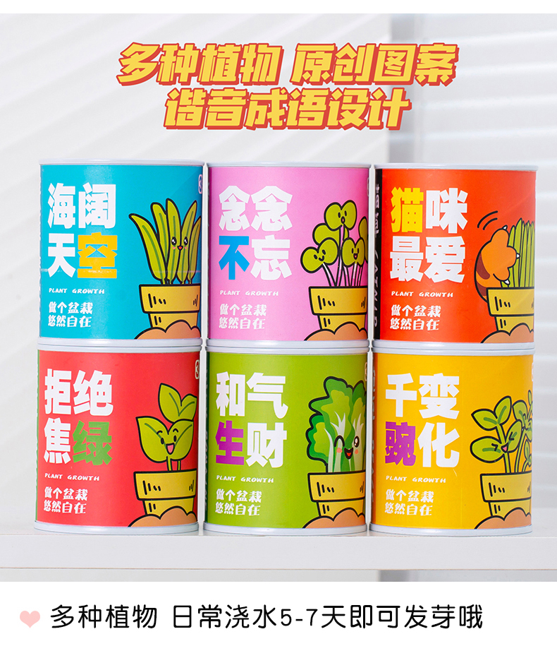 小盆栽儿童创意植物可爱礼物品伴手礼幼儿园小礼品六一节奖励 - 图3