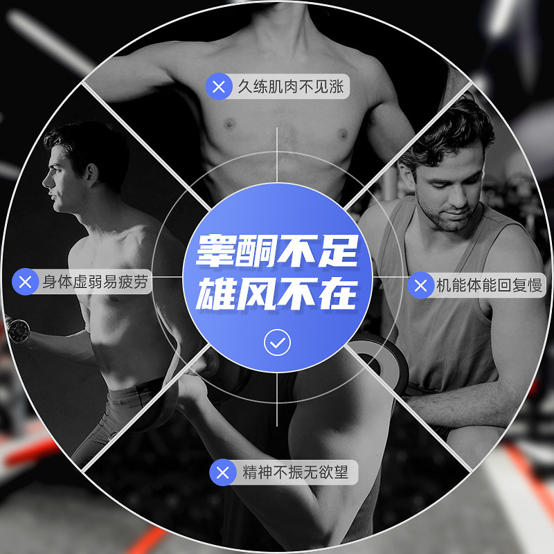 gaspari盖沛力激素补充肌酸睾丸酮 GaspariNutrition海外其它植物提取物