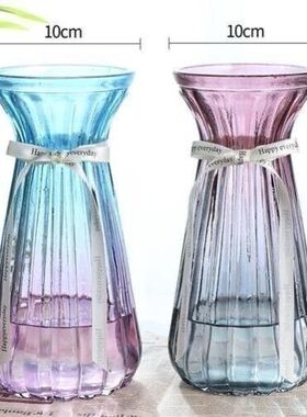 【两件套】特大号玻璃花瓶透明水养富贵竹花瓶客厅家用插花瓶摆件