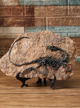 霸王龙仿真化石标本模型装饰摆件