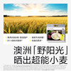 Photosynthetic Planet Baby colorful noodles sold in bulk