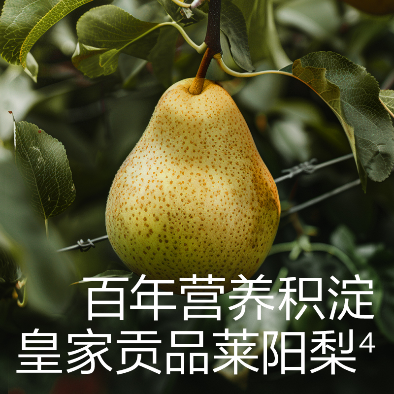 babycare光合星球秋梨膏换季泡水喝一勺儿童无添加非枇杷纯梨膏