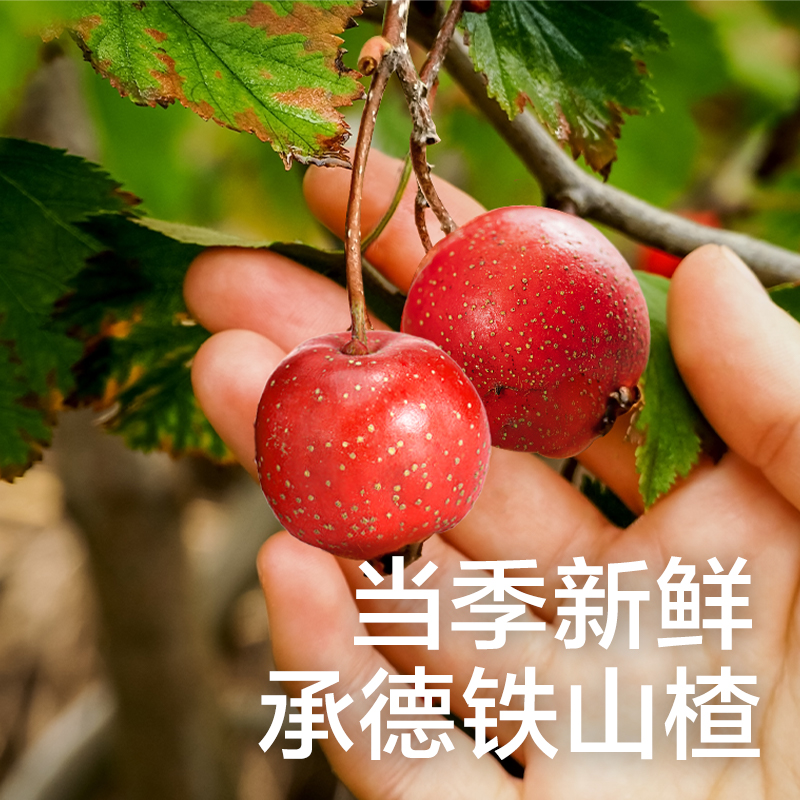 光合星球山楂圈圈山楂棒棒糖儿童健康零食无添加送婴儿宝宝辅食谱