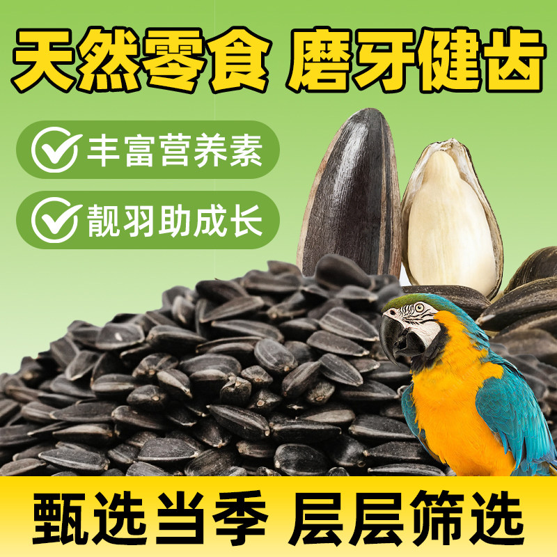 天然油葵瓜子鸟零食精挑细选无添加宠物营养丰富品质颗粒饱满磨嘴,淘宝优惠券,粉丝福利购,淘宝优惠卷