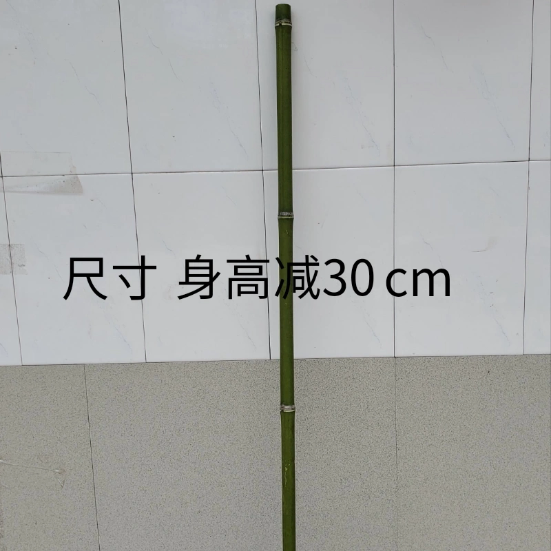 登山杖手工拐杖教鞭登山杖手工拐杖头徒徒步轻便爬山手杖竹拐杖拐