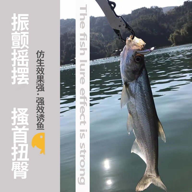 路亚饵米诺微物颤沉缓沉小白条马口红眼鳜鱼沉水淡水专用通杀假饵 - 图1