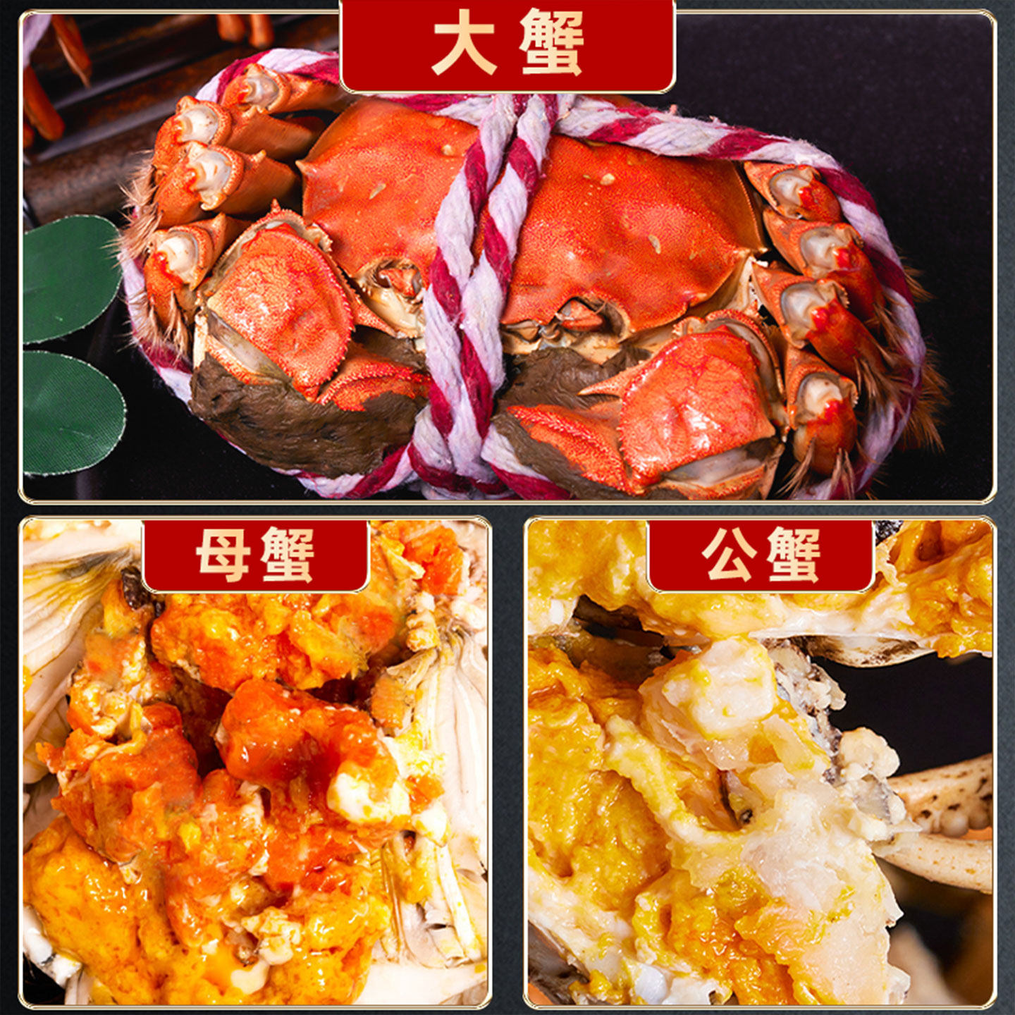 活蟹大闸蟹鲜活公母螃蟹特大阳澄河蟹湖蟹海鲜水产官方旗舰店,淘宝优惠券,粉丝福利购,淘宝优惠卷