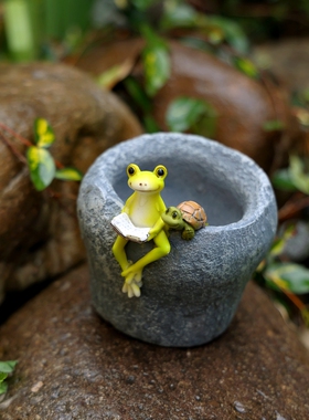 可爱治愈小青蛙动物花园庭院布置