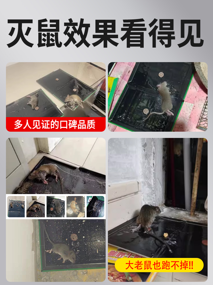 户清老鼠贴强力粘鼠板胶家用黏沾捕防抓灭扑捉大老鼠神器2024新款-图3