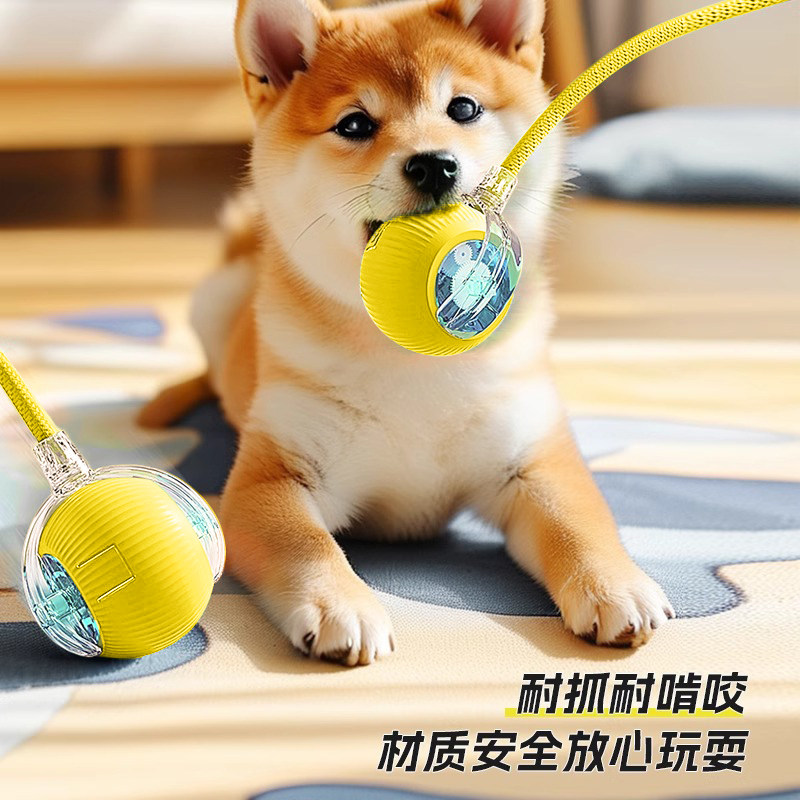 狗狗玩具球自动遛狗电动逗狗耐咬小狗比熊玩的宠物狗自嗨解闷神器