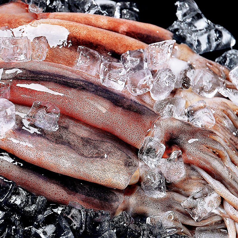 新鲜大鱿鱼紫皮生鲜做铁板商用烧烤鲜活冷冻新货10斤整箱海鲜水产