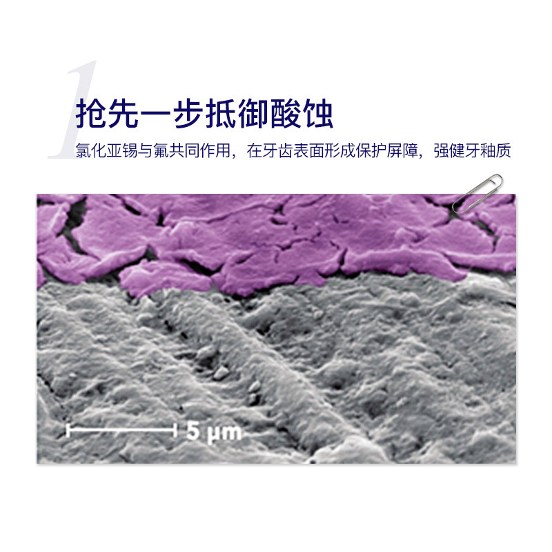  elmex海外漱口水