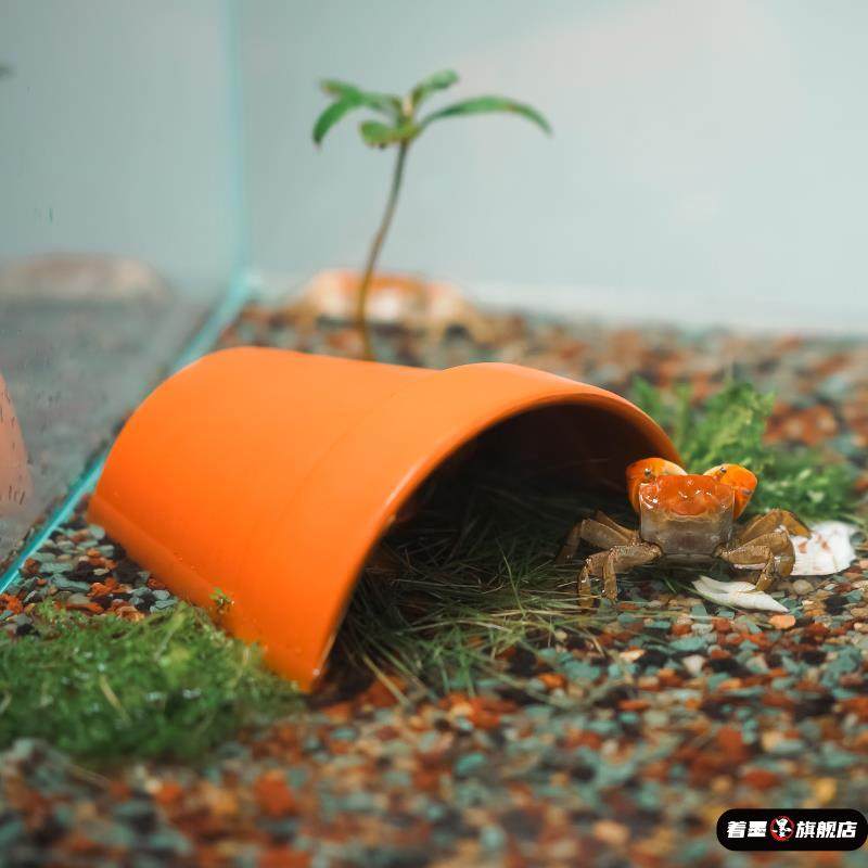 乌龟鱼类躲避屋洞穴瓦片黄缘龟爬虫加湿躲避屋窝乌龟晒台爬台造景,淘宝优惠券,粉丝福利购,淘宝优惠卷