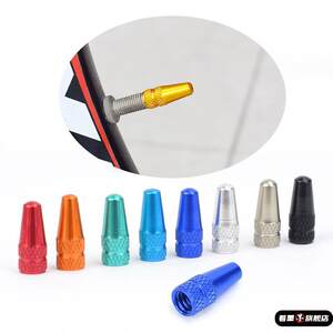 公路车死飞法式气嘴打气筒法嘴帽法嘴转法嘴转换头器捷安特自行车