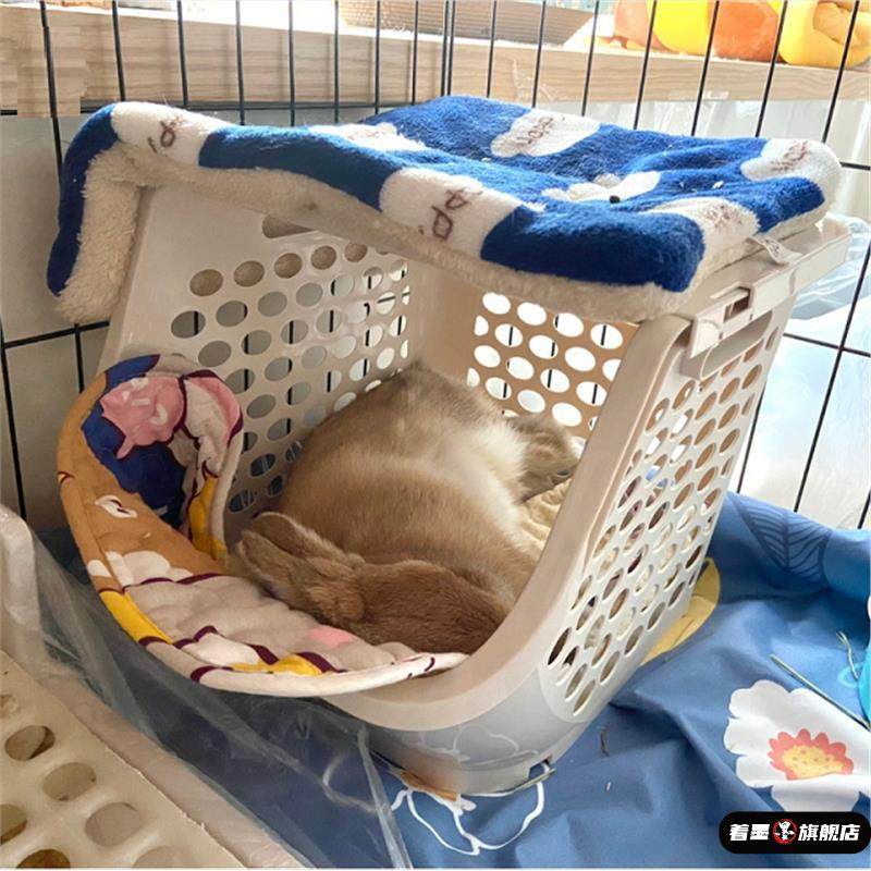 兔子猫咪躲避屋夏天窝睡床小宠透气睡眠屋宠物豚鼠小床用品,淘宝优惠券,粉丝福利购,淘宝优惠卷