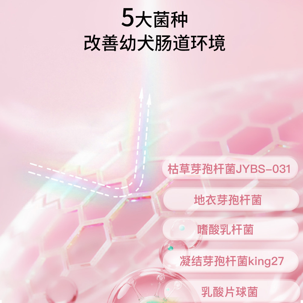 派斯乐益生菌粉幼犬专用营养补充剂5g*10包,淘宝优惠券,粉丝福利购,淘宝优惠卷