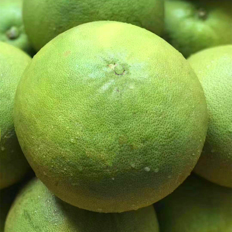 现货泰国进口金柚20#大果3只新鲜泰柚青柚子多汁蜜柚纯甜孕妇水果_虎窝淘
