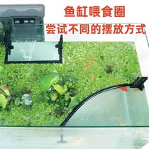 Fish tank pitcher feeding ring aquarium fish food feeder small medium fish feeding ring buoyancy feeder fish pool floating ring