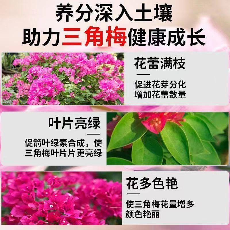 三角梅营养液专用催花养花通用型梅花盆栽家用花卉促开花液促开花,淘宝优惠券,粉丝福利购,淘宝优惠卷
