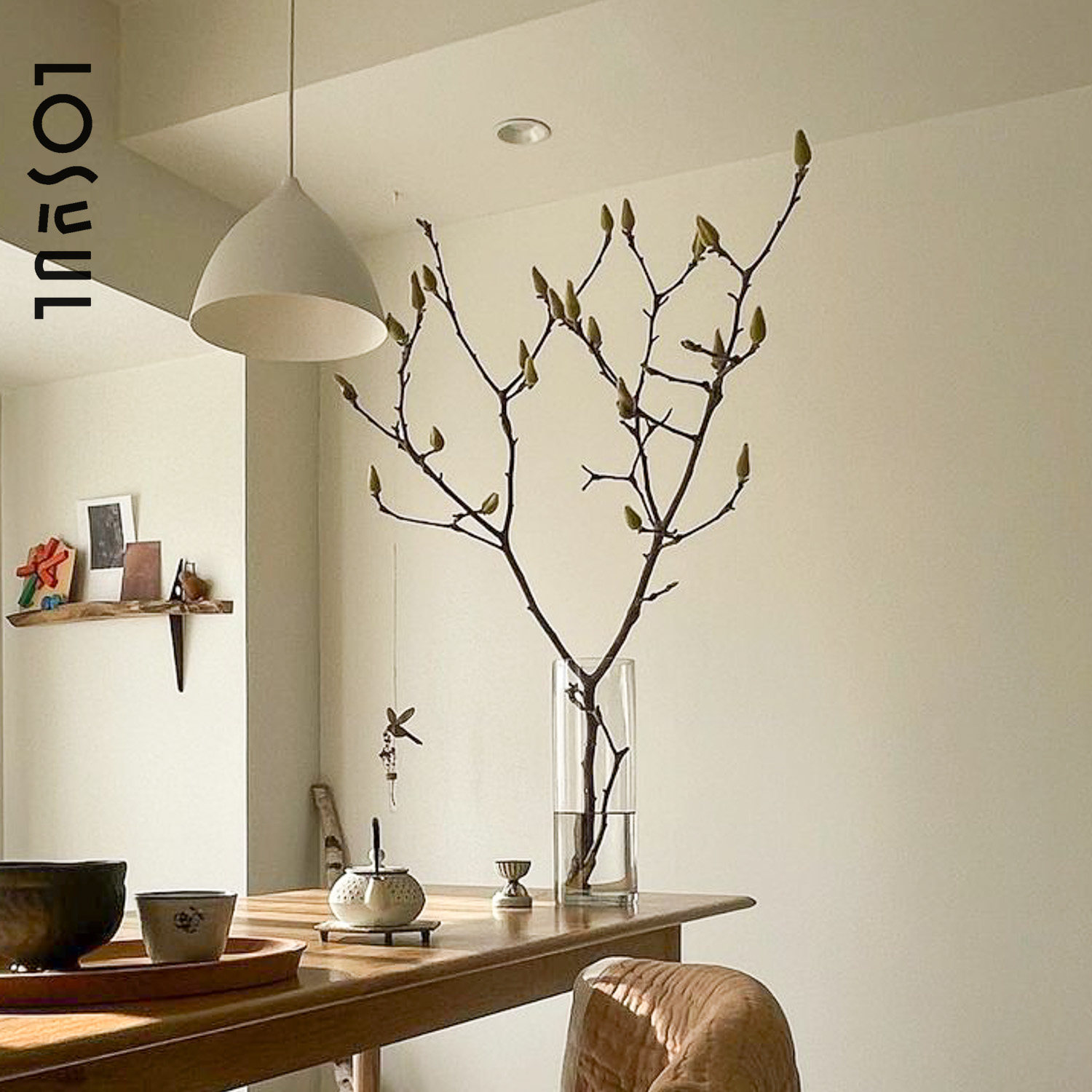 白紫玉兰花野奢鲜花鲜切枝条小众水培桌面家用插花年宵花新年装饰,淘宝优惠券,粉丝福利购,淘宝优惠卷