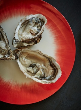 比利时Serax Ann Demeulemeester暗黑餐具盘子 西餐盘水果点心盘