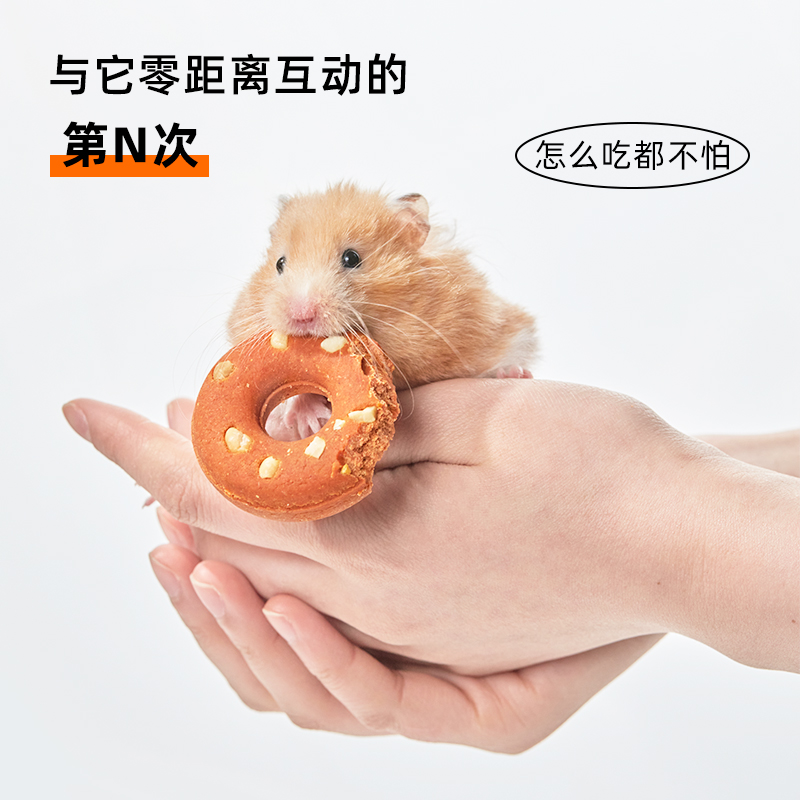 KOKOAGEL阿球仓鼠磨牙甜甜圈宠物用品零食兔子龙猫金丝熊豚鼠玩具-图3