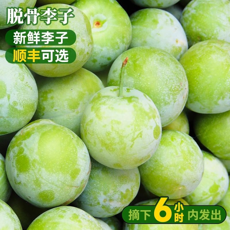 正宗四川脱骨红脆李子青土李子新鲜水果当季茵红李蜂糖汶川旗舰店,淘宝优惠券,粉丝福利购,淘宝优惠卷