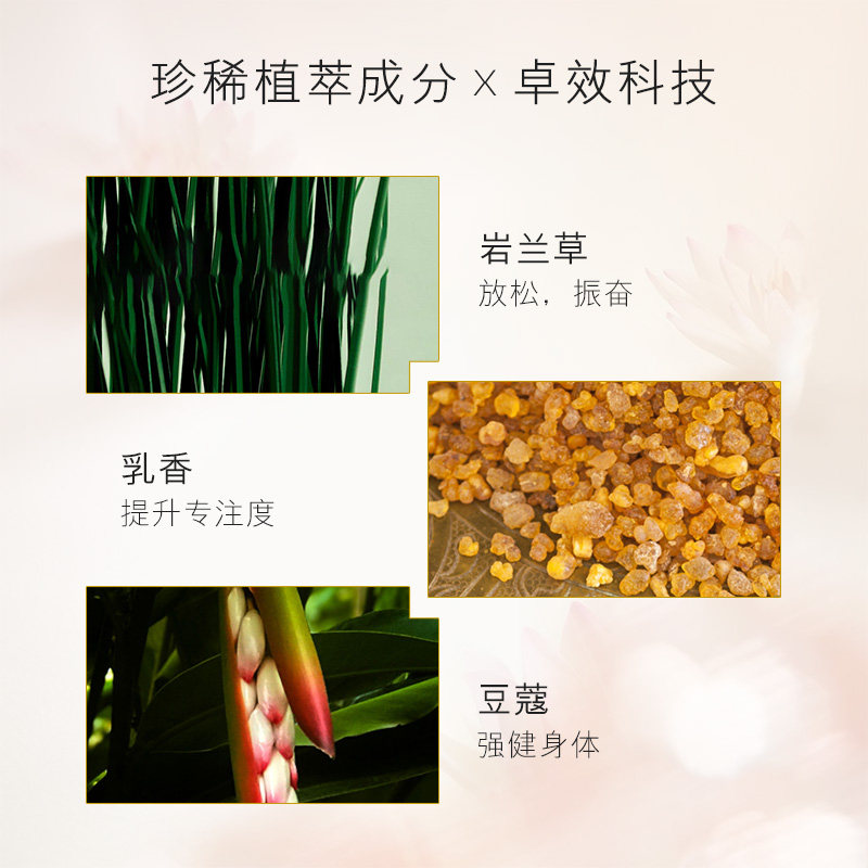 英国雅容玛香薰之家aa活力润肤油 雅容玛香薰之家海外身体精油/身体按摩