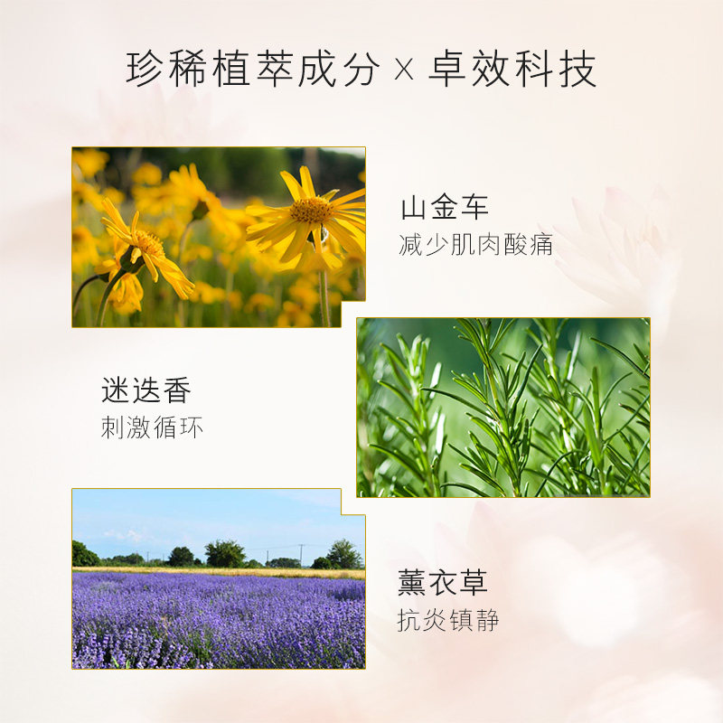 英国雅容玛香薰之家aa全身按摩油 雅容玛香薰之家海外身体精油/身体按摩