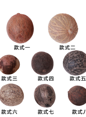 速发新料带皮白菩提根原籽白肉白根DIY菩提果桶珠莲花圆珠去皮散