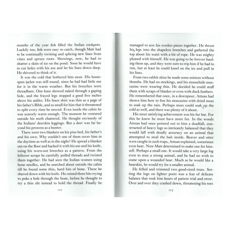 英文原版 the Sign of the Beaver海狸的记号 1984年纽伯瑞银奖 Elizabeth George Speare 伊丽莎白乔治斯匹尔 青少年儿童