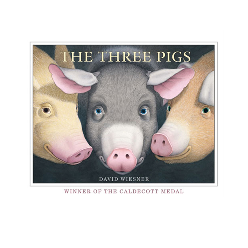 英文原版 The Three Pigs 大卫威斯纳 三只小猪 想象力启蒙 凯迪克金奖 David Wiesner