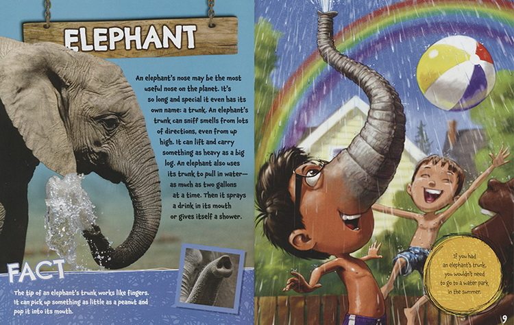 英文原版绘本 What If You Had An Animal Nose? 如果你有动物的鼻子 儿童科普想象图画书 Scholastic