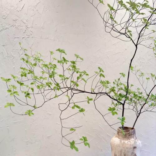 仿真吊钟树马醉木别墅室内茶室橱窗装饰假树绿植落地景观造景盆景 - 图2
