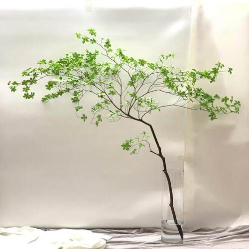仿真吊钟树马醉木别墅室内茶室橱窗装饰假树绿植落地景观造景盆景 - 图1