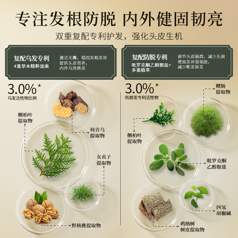 青幽堂强韧健发洗发水中草本植物养发侧柏叶提取物洗发露官方正品-图2