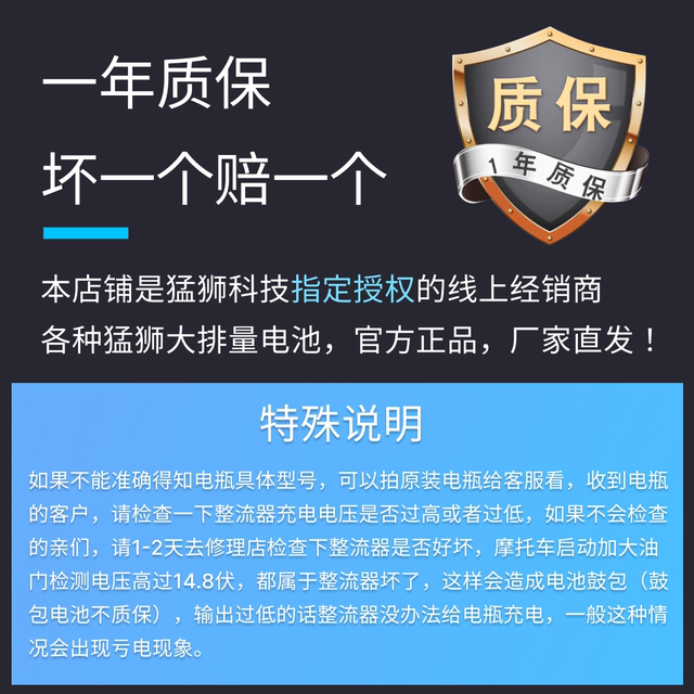 钱江摩托车电瓶 赛600原厂专用电瓶 大容量高性能12V 通用蓄锂