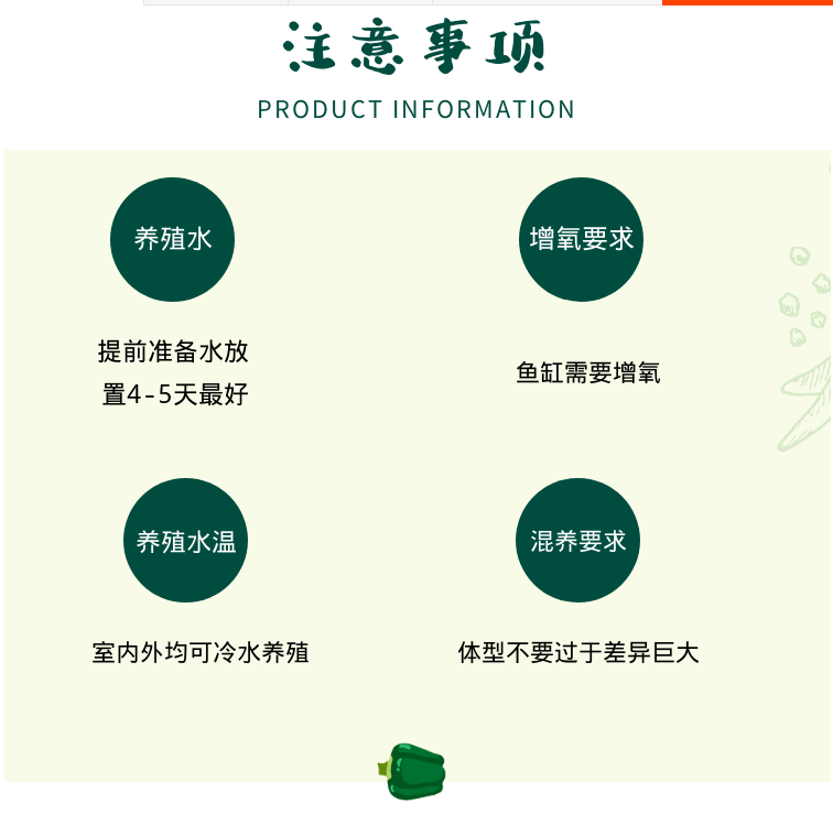 活体鱼观赏鱼冷水金鱼淡水鱼蝶尾锦鲤鸿运当头龙晶鱼红狮子头种鱼