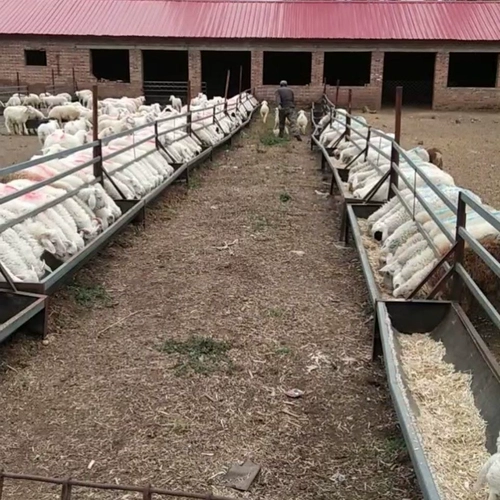 Звери используют прибадки для корма порошкового порошка, размножаясь с цыплятами, утками, свиньи, крупным рогатым скотом, овец, птицы и желудочной кислоты увеличение увеличения веса