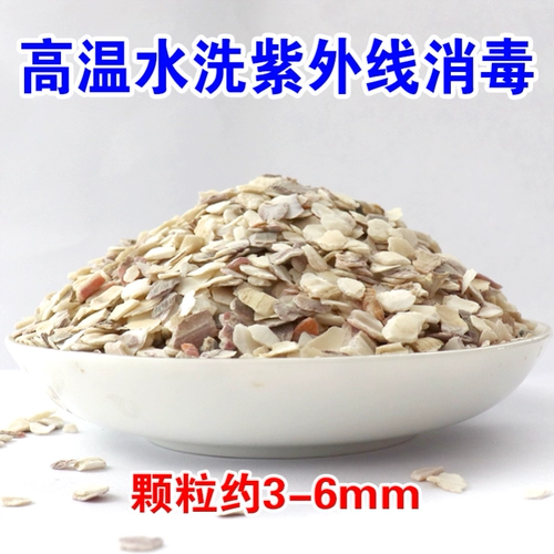 Птица раковина порошок порошок курицы корм для курицы курица едят яйца, кальций и кальциево -раковина раковина раковина раковина голубь