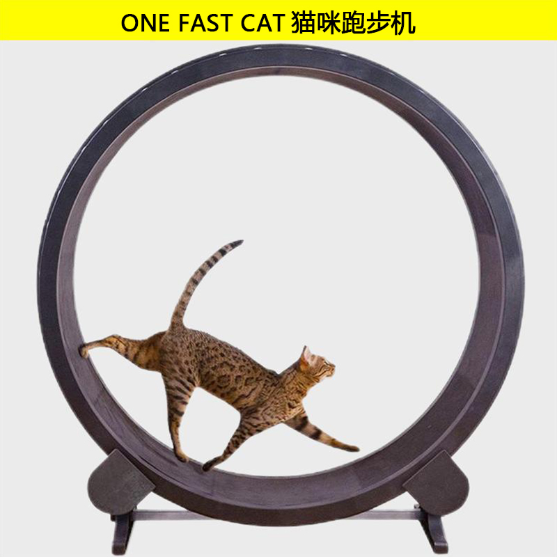 猫咪跑步机猫跑轮猫猫静音小型滚轮运动健身宠物转轮猫玩具猫爬架-图2