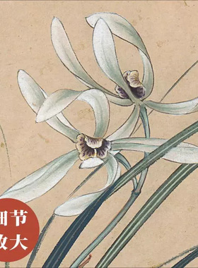 张大千《兰花图》古风植物花卉