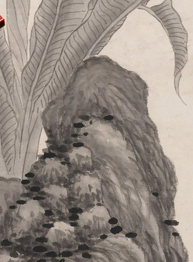 明沈周蕉石图微喷打印传世名画名